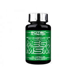 Scitec Nutrition Mega MSM, Joint nutrition - MonsterKing