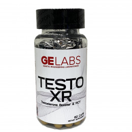 GE Labs Testo XR, PCT - MonsterKing