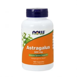 NOW Foods Astragalus 500 mg, Vitamins - MonsterKing