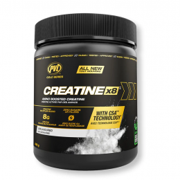 PVL Gold Series Creatine X8, Kreatín - MonsterKing